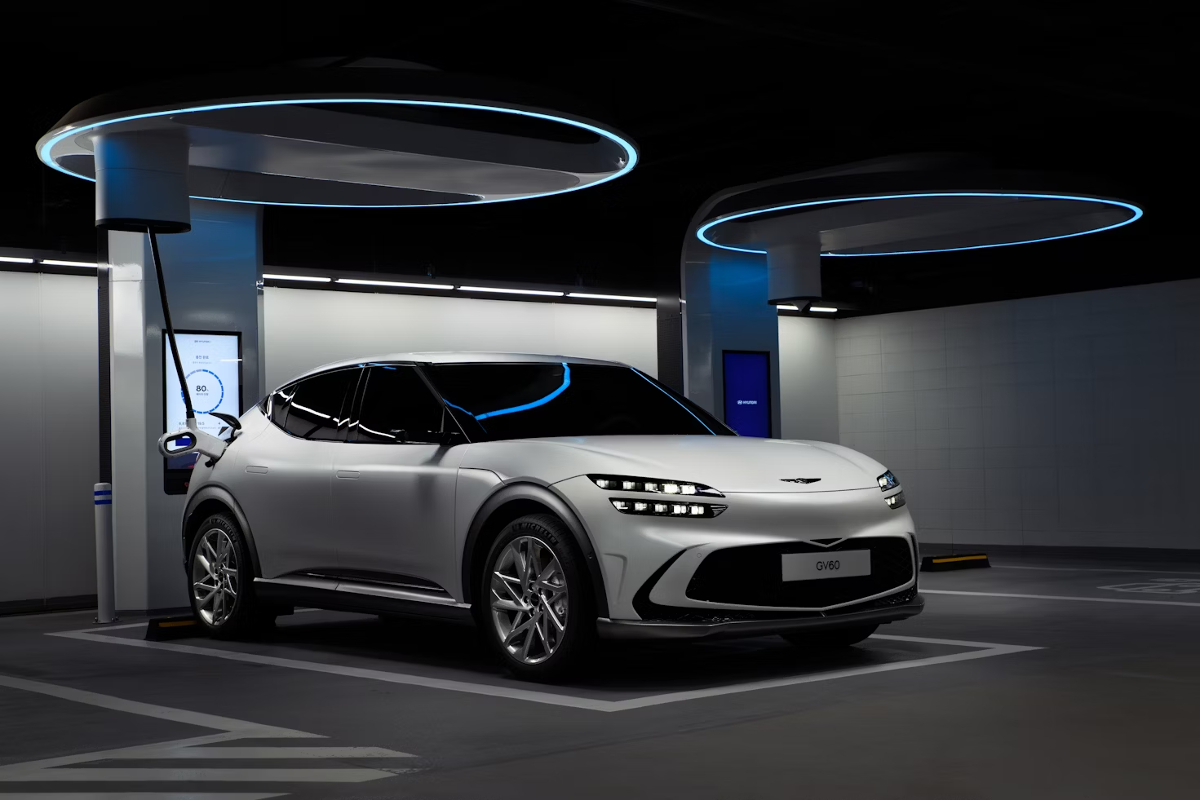 blog webcarnews