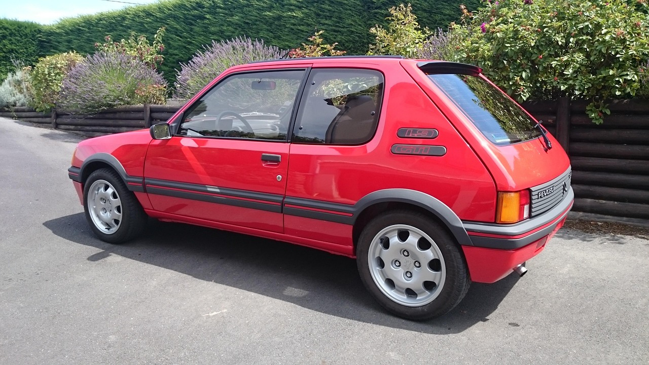 205 gti griffe